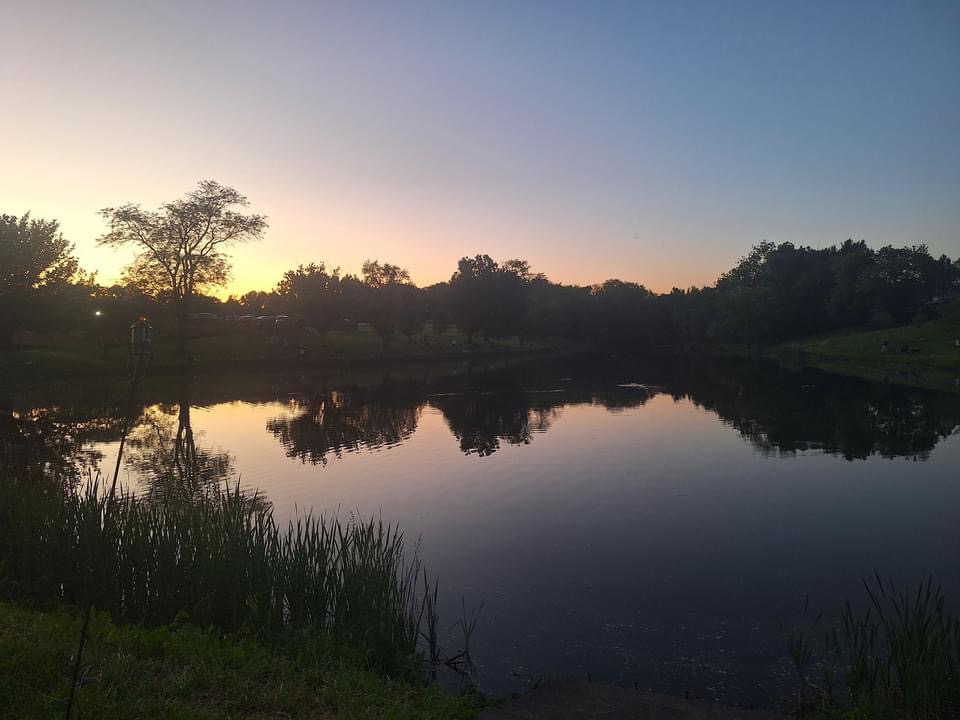 image46.jpeg